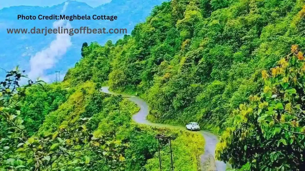 Green Beauty in Sittong