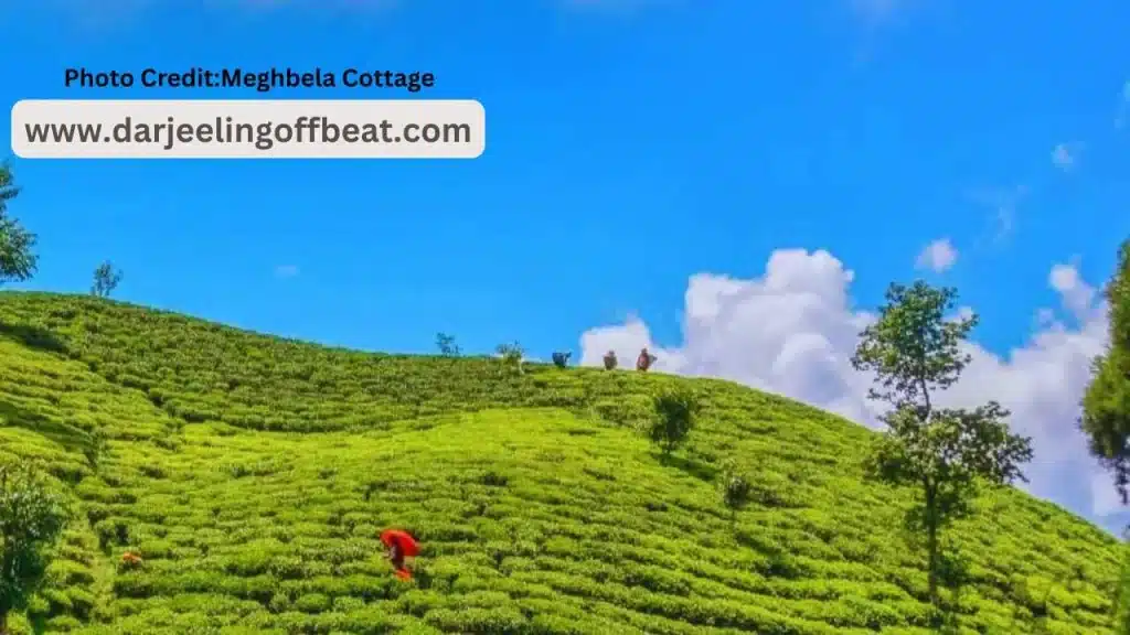 How to Reach Sitong from Burdwan