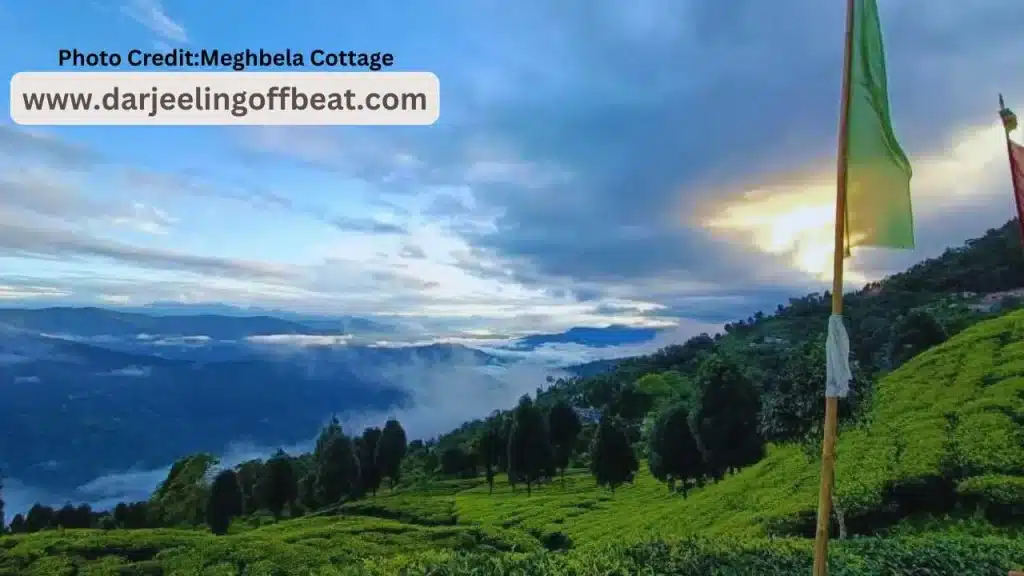 Sitong Tour Plan_ Best Time to Visit Sittong