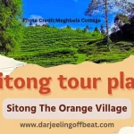 Sitong tour plan