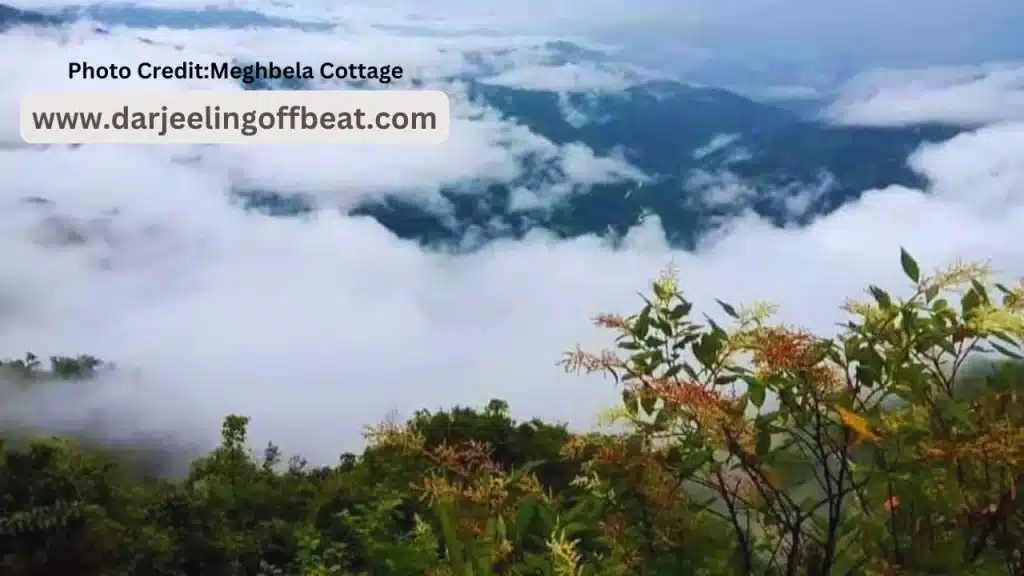 Where to Stay at Sitong