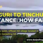Siliguri to Tinchuley