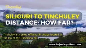 Siliguri to Tinchuley