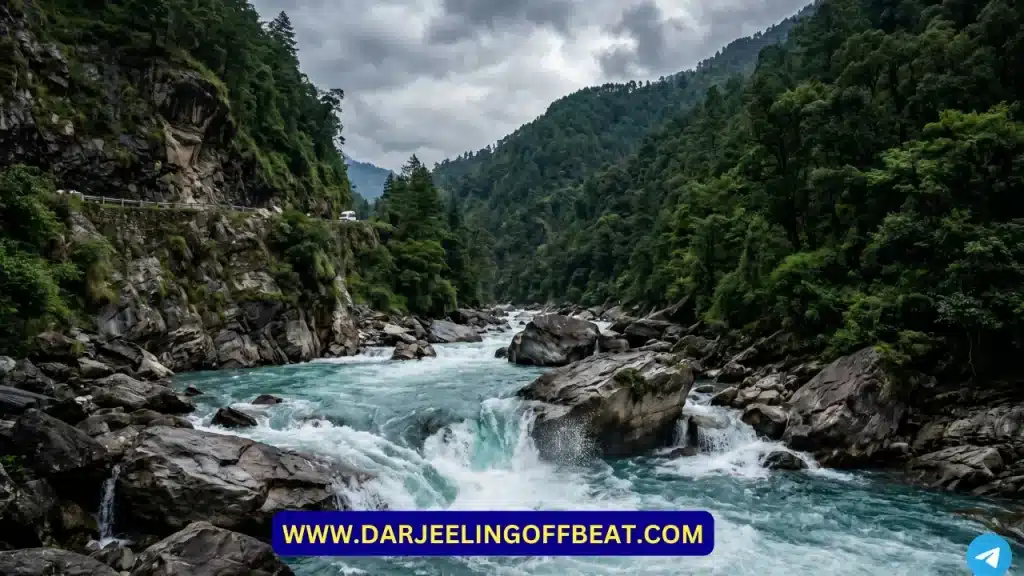 siliguri to kalimpong taxi fare