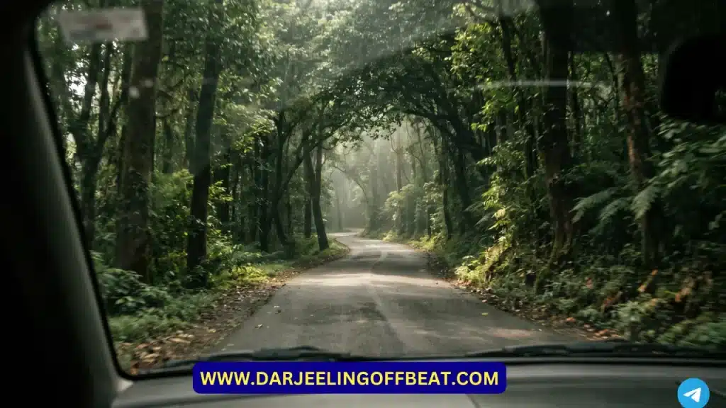 kalimpong to siliguri distance