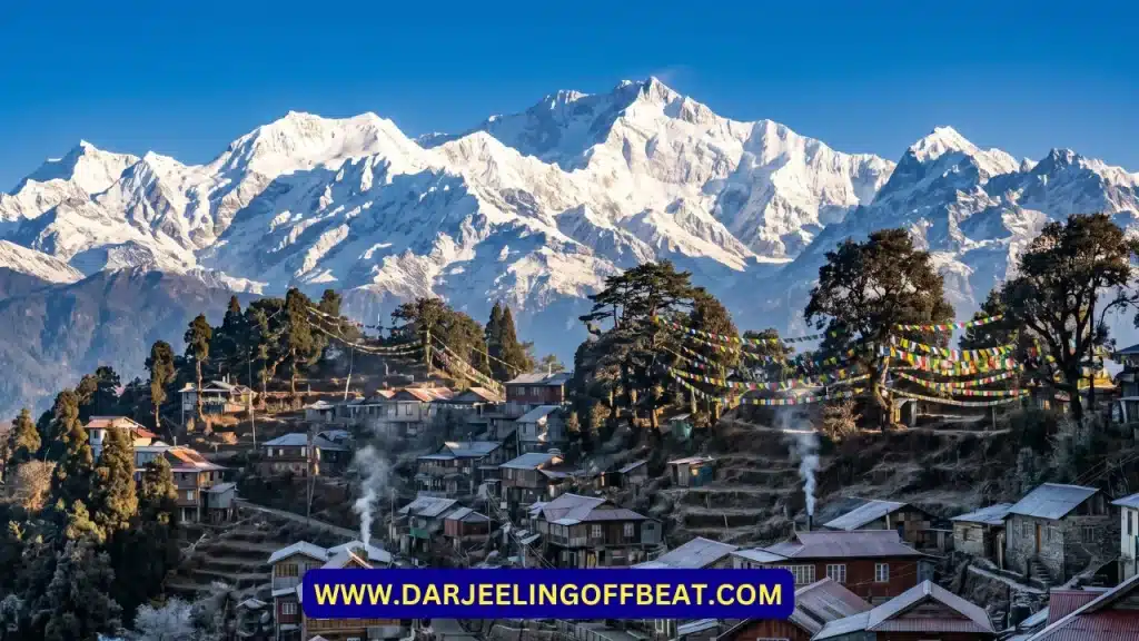 Darjeeling in January