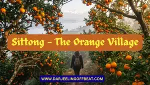Sittong The Orange Village