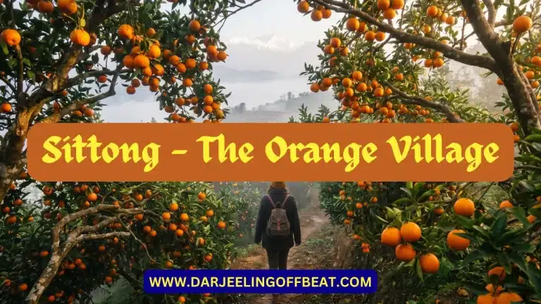 Sittong The Orange Village