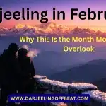 Darjeeling in February