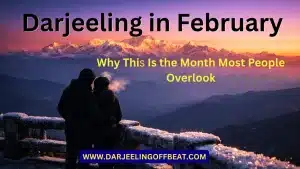 Darjeeling in February