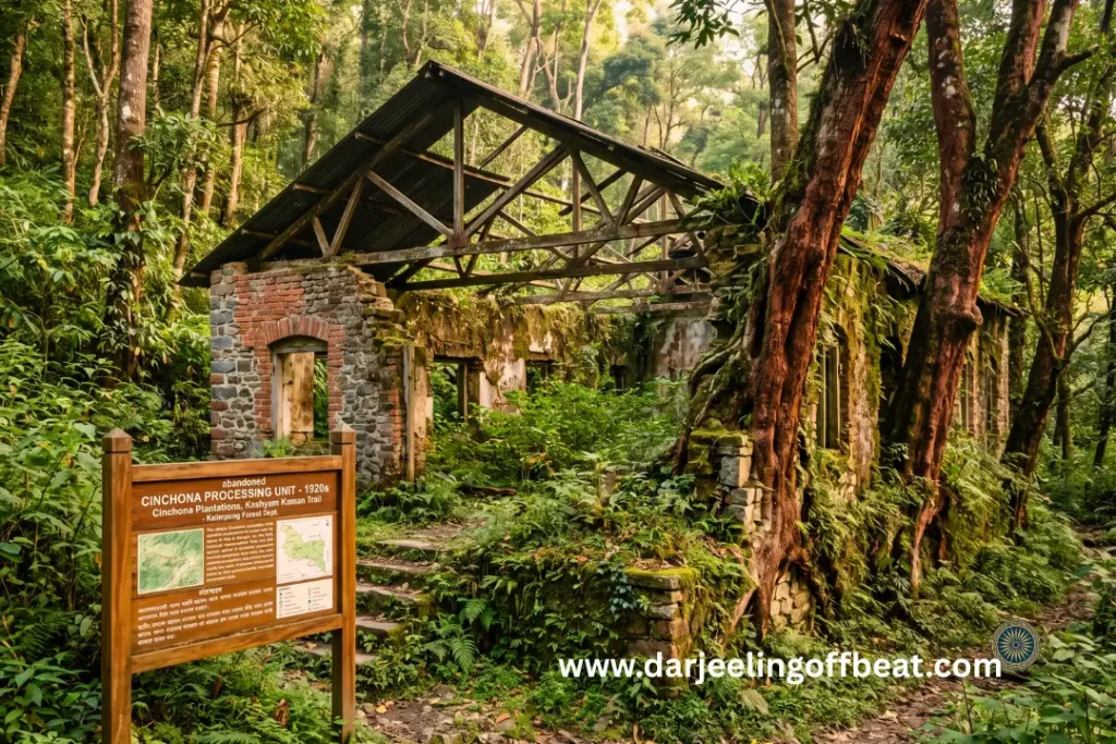 Abandoned Cinchona Processing Unit Heritage Trail