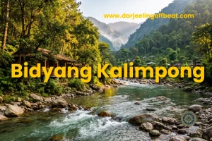 Bidyang Kalimpong