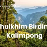 Chuikhim birding Kalimpong