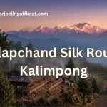 Dalapchand Silk Route Kalimpong