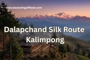 Dalapchand Silk Route Kalimpong
