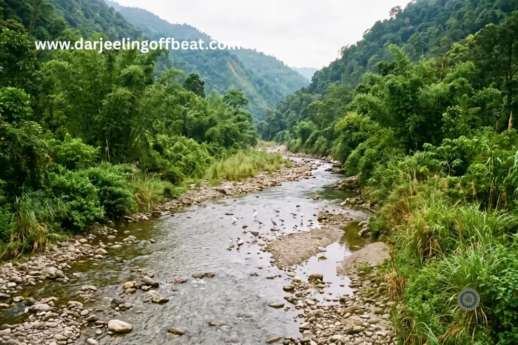 Ghish River Migration Corridor