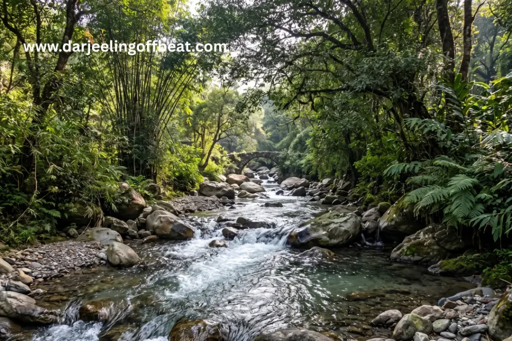 Gitkhola river Kalimpong