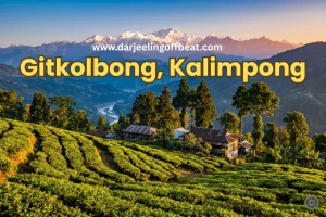 Gitkolbong Top viewpoint