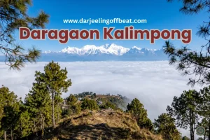 Sea of clouds Kalimpong