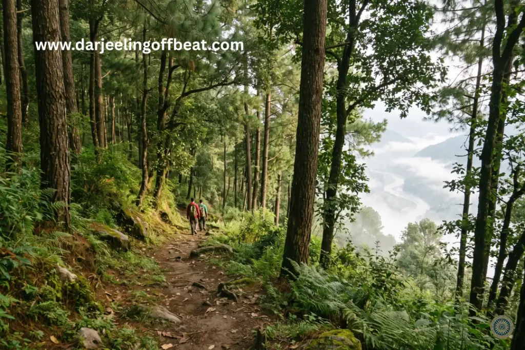 Offbeat Darjeeling Kalimpong circuit