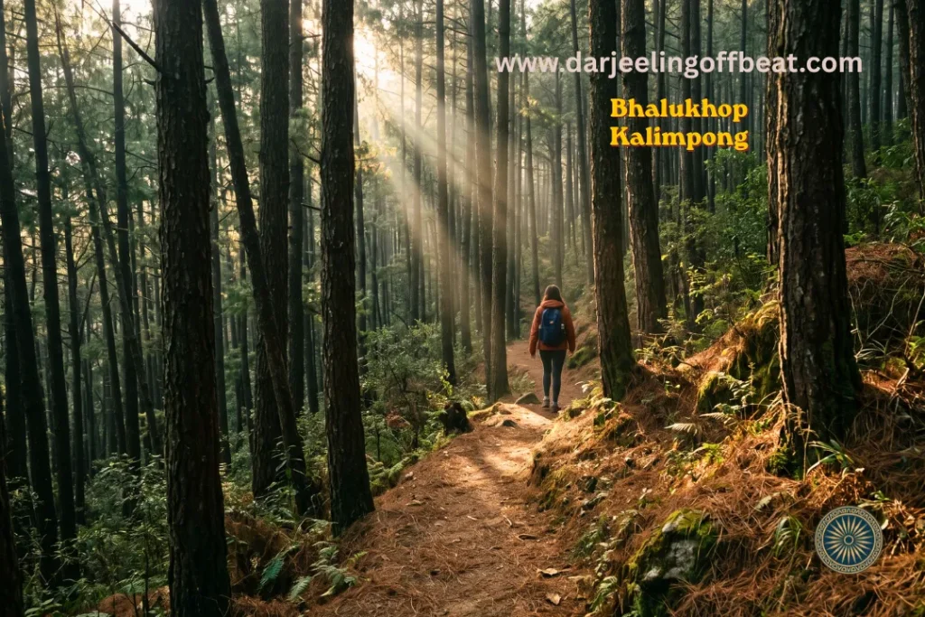 places to visit in Kalimpong